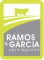 Logo escritorio